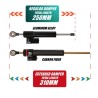 Ammortizzatore di sterzo per Ausom DT2 Pro, L2, L2 Max, Kugoo F3 Plus o simile  - 13 
Compatibilita: pensato per Ausom DT2 Pro, 