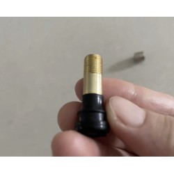 Válvula de aire extendida para patinete Segway ZT3, Segway Max G3 o similar  - 2 Compatibilidad: extension de valvula de aire pa