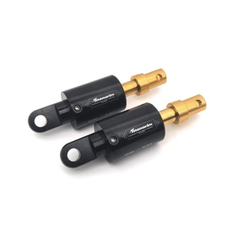 Luftstossdaempfer Monorim SGR3 Air Kit Hinterradfederung Segway Max G3 Series  - 1 
Kompatibilitaet: Monorim SGR3 Air Luftstossd