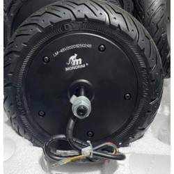 Kinitíras ypsilís ropís 48v 500w IP67 gia ilektriká skoúter tis seirás Ninebot Max Monorim - 4 Αυτός ο κινητήρας είναι συμβατός 