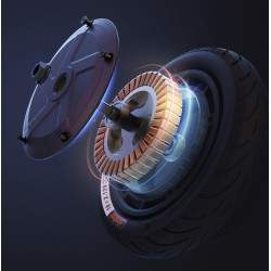 Motore della serie Ninebot Fxx da 350 W con cerchio e pneumatico tubeless da 10 pollici Segway - Ninebot - 1 Motore serie Ninebo