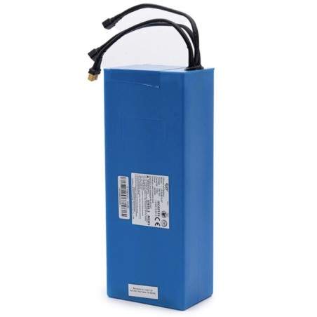 Aku 48V 13000mah (EVE Cells) Smartgyro Speedway / Rockway / Crossoveri, Zwheeli või sarnase jaoks  - 1 Aku 48V 13000mah (EVE Cel