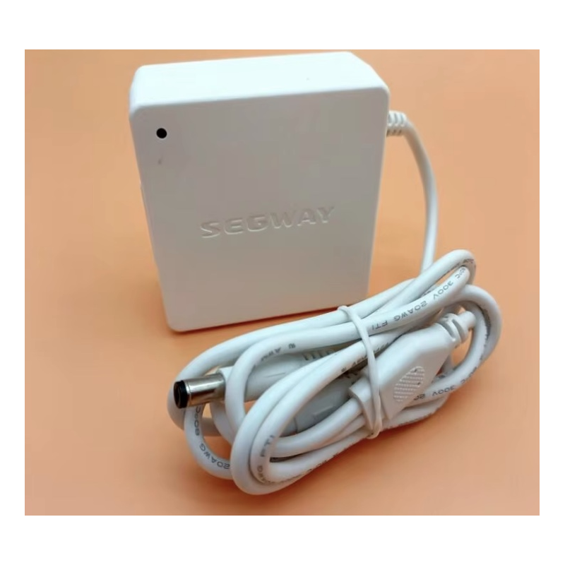 Originalus vidinis akumuliatoriaus įkroviklis Segway Ninebot W1 Drift - 25v 1.5A  - 1 Originalus vidinis akumuliatoriaus įkrovik