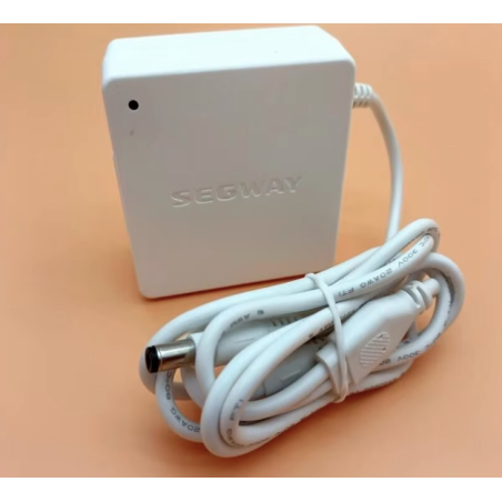 Original internal battery charger for Segway Ninebot W1 Drift - 25v 1.5A  - 1 Original internal battery charger for Segway Nineb